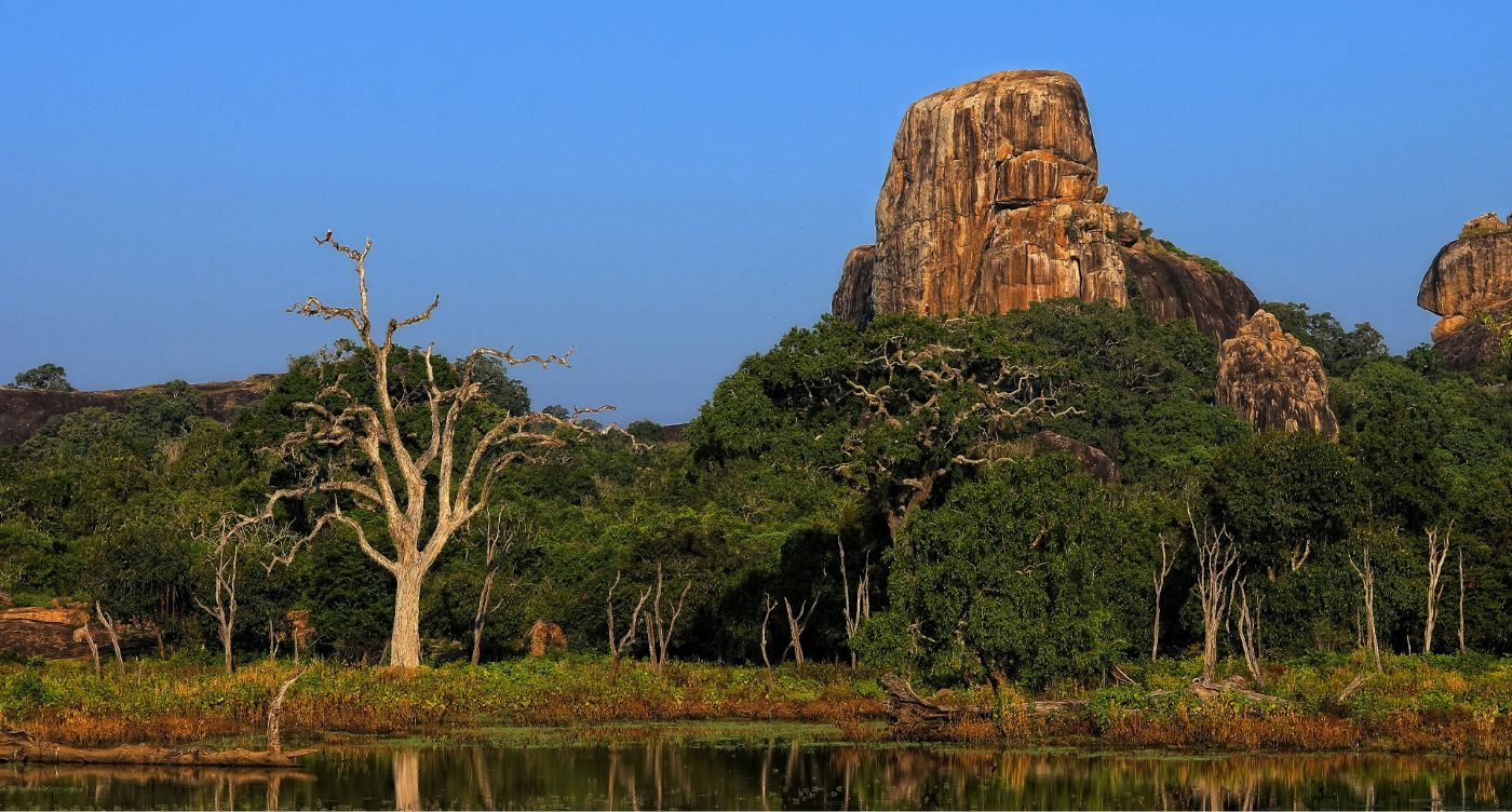 Sri Lanka Wildlife, Hill Country & Beach Tour – 8 Nights