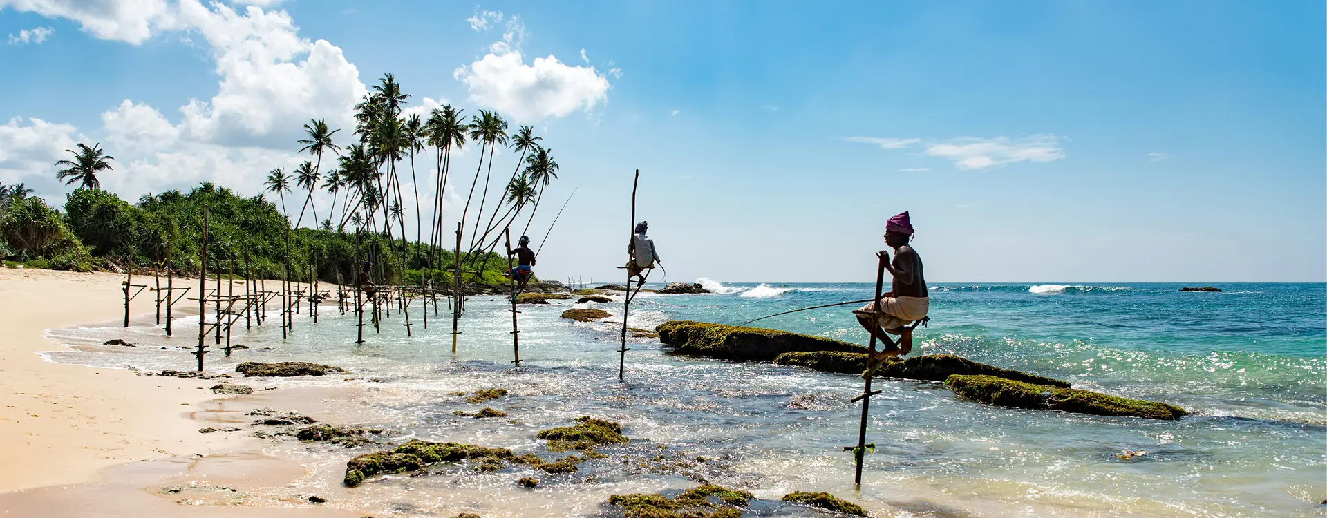 Mirissa – Beach & Whale Watching