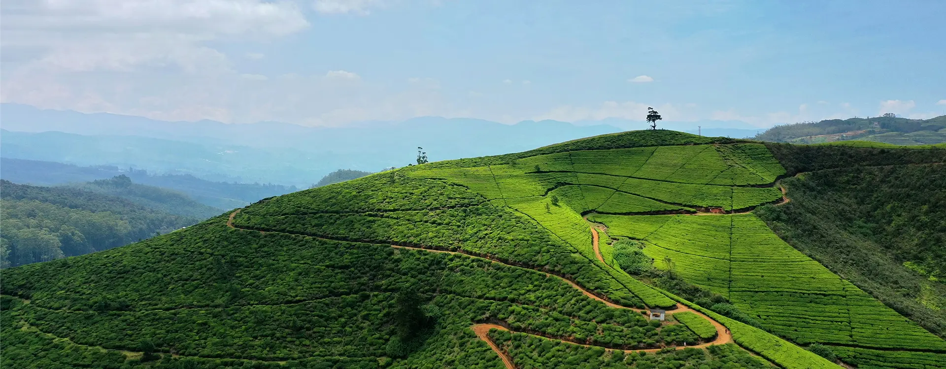 Nuwara Eliya – Little England