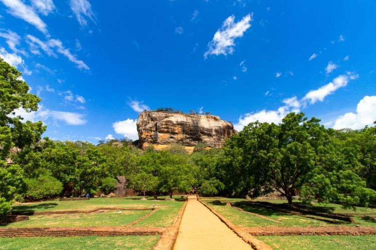 Sigiriya Rock Fortress rising from the jungle with climbers